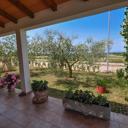 Angela Apartment Novigrad  Exterior photo