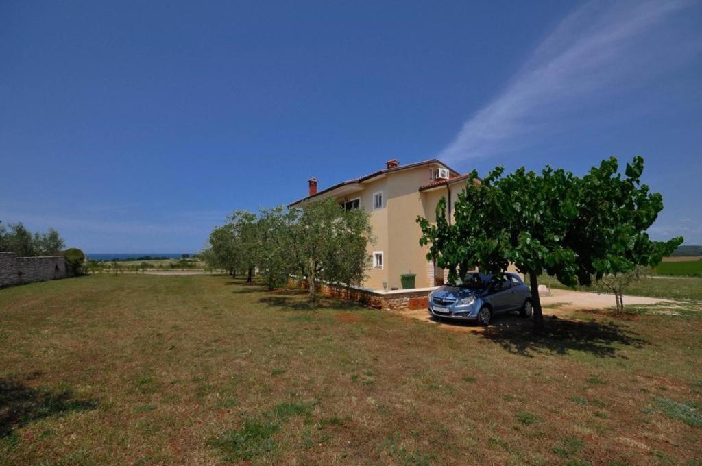Angela Apartment Novigrad  Exterior photo