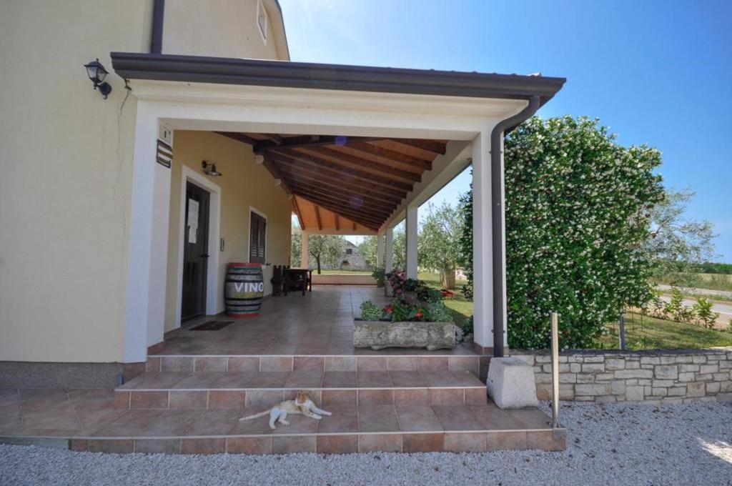 Angela Apartment Novigrad  Exterior photo