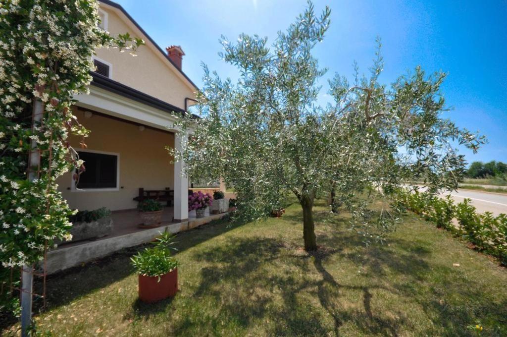 Angela Apartment Novigrad  Exterior photo